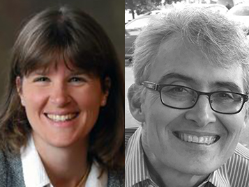 An Introduction to Neuronal Criticality