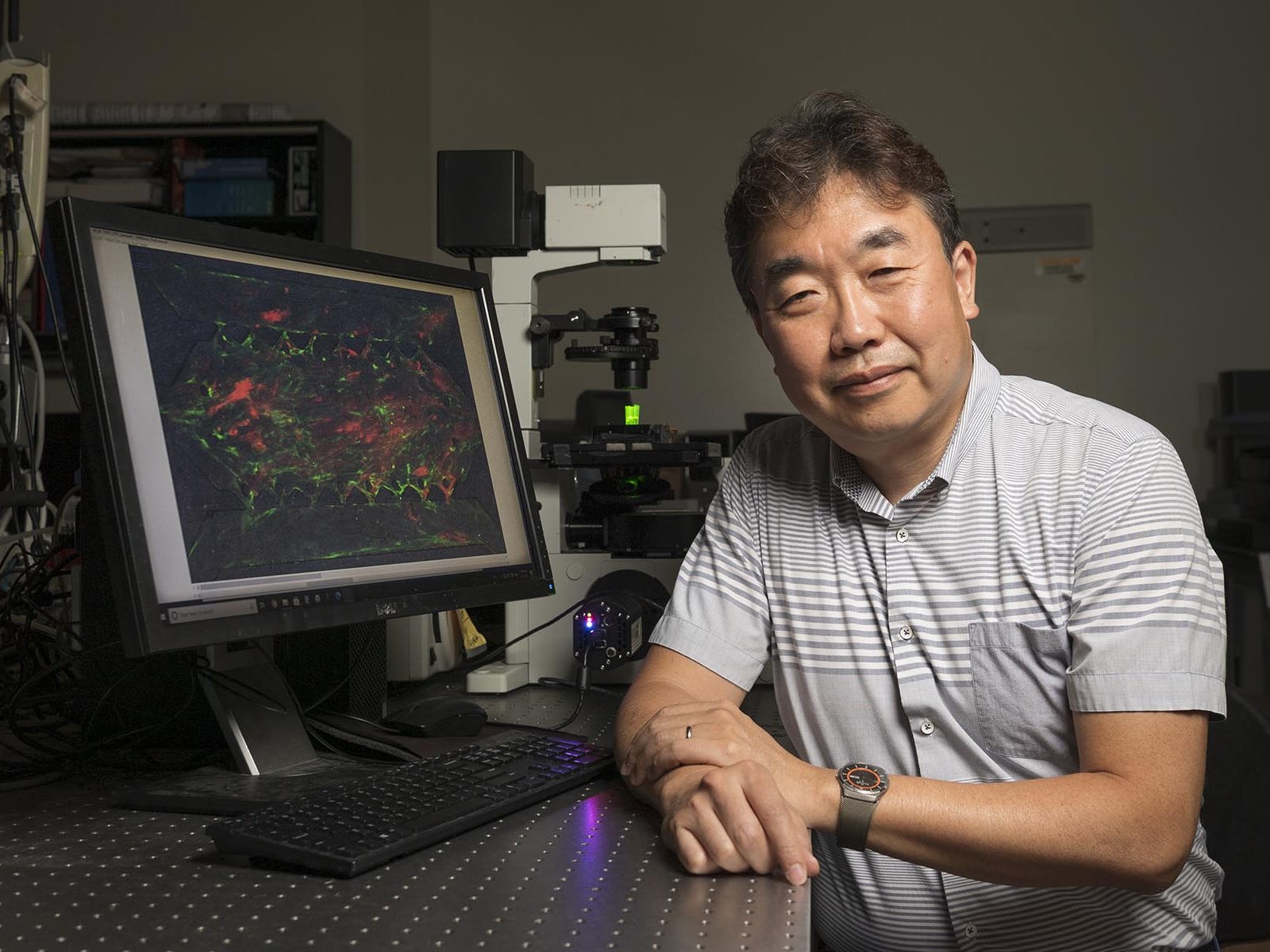 Information Flow at Biological Interfaces: Microphysiological Models of Neuroinflammation and Cancer Cell Migration